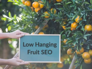Low-Hanging Fruit SEO